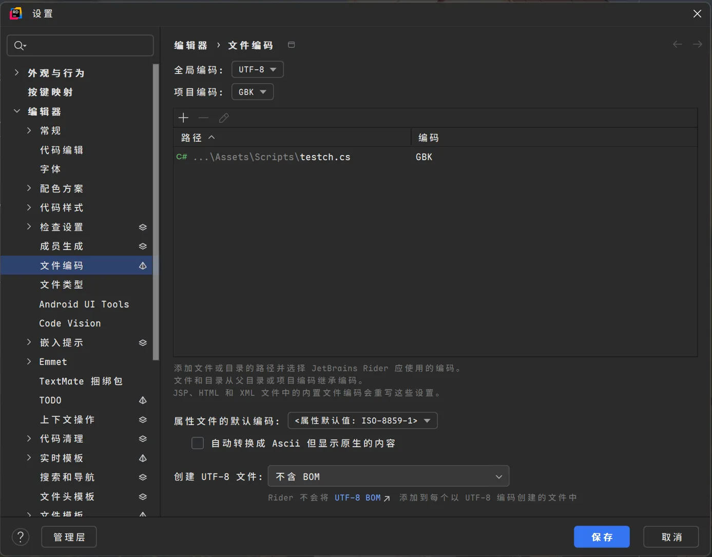 Rider项目编码设置为GBK配置界面